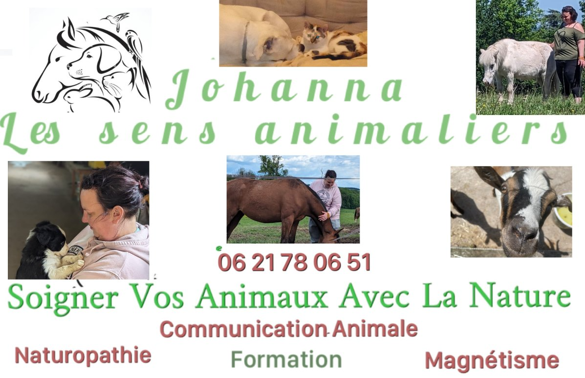 Services Johanna les sens animaliers